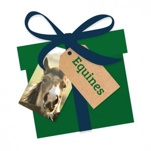 Equines Wishlist